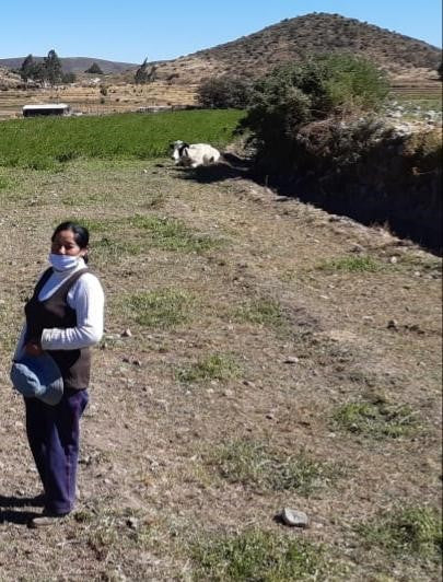 Peruvian Naturals supports farmers in Arequipa, Ucayali and San Martin