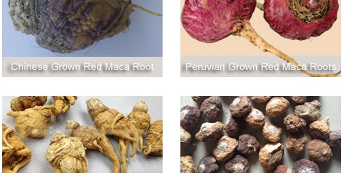 The Chinese have Sequenced the Maca Genome. Now what?