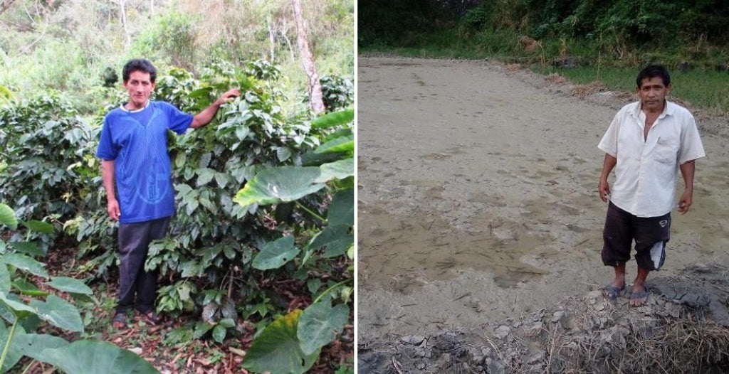Peruvian Naturals supports Juan Carlos and Julio Miguel in Cajamarca, Peru