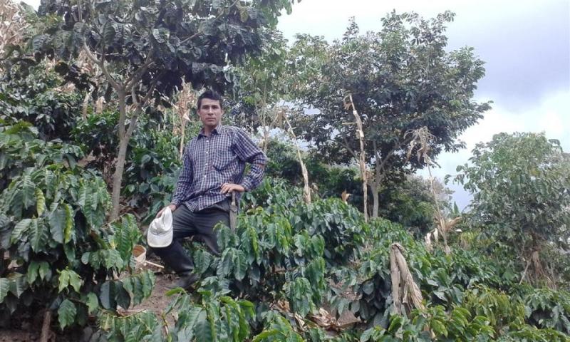 Peruvian Naturals supports coffee farmer, Reyler