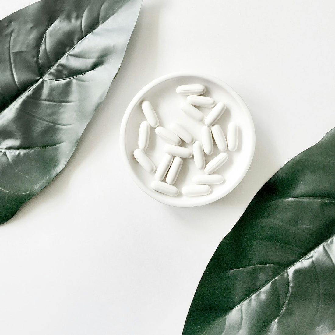 White herbal supplement capsules in a small dish between two green leaves