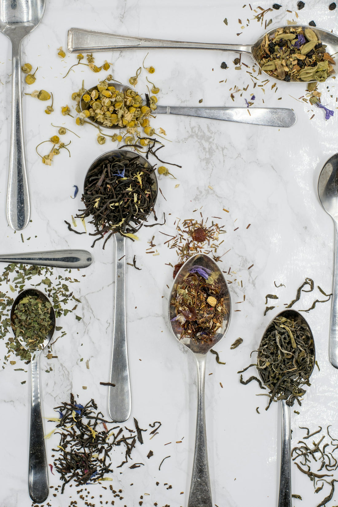 Loose leaf herbal teas on silver spoons