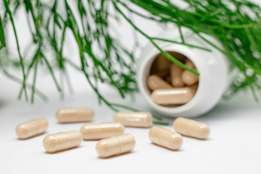 Beige herbal supplement capsules spilled from a bottle