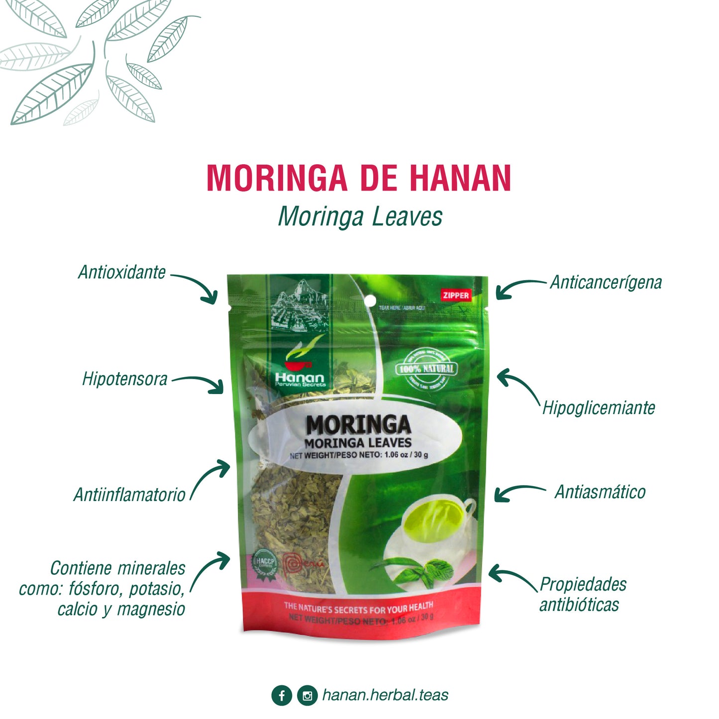 Herbal Moringa Tea (te de moringa)