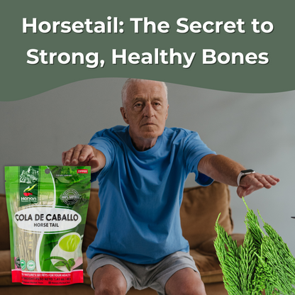Horsetail Herb Leaves - Cola de Caballo