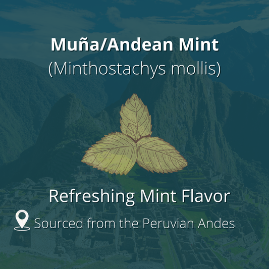 Andean Mint - Muña Tea