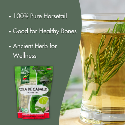 Horsetail Herb Leaves - Cola de Caballo