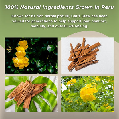 Te de Uña de Gato - Cat's Claw Tea