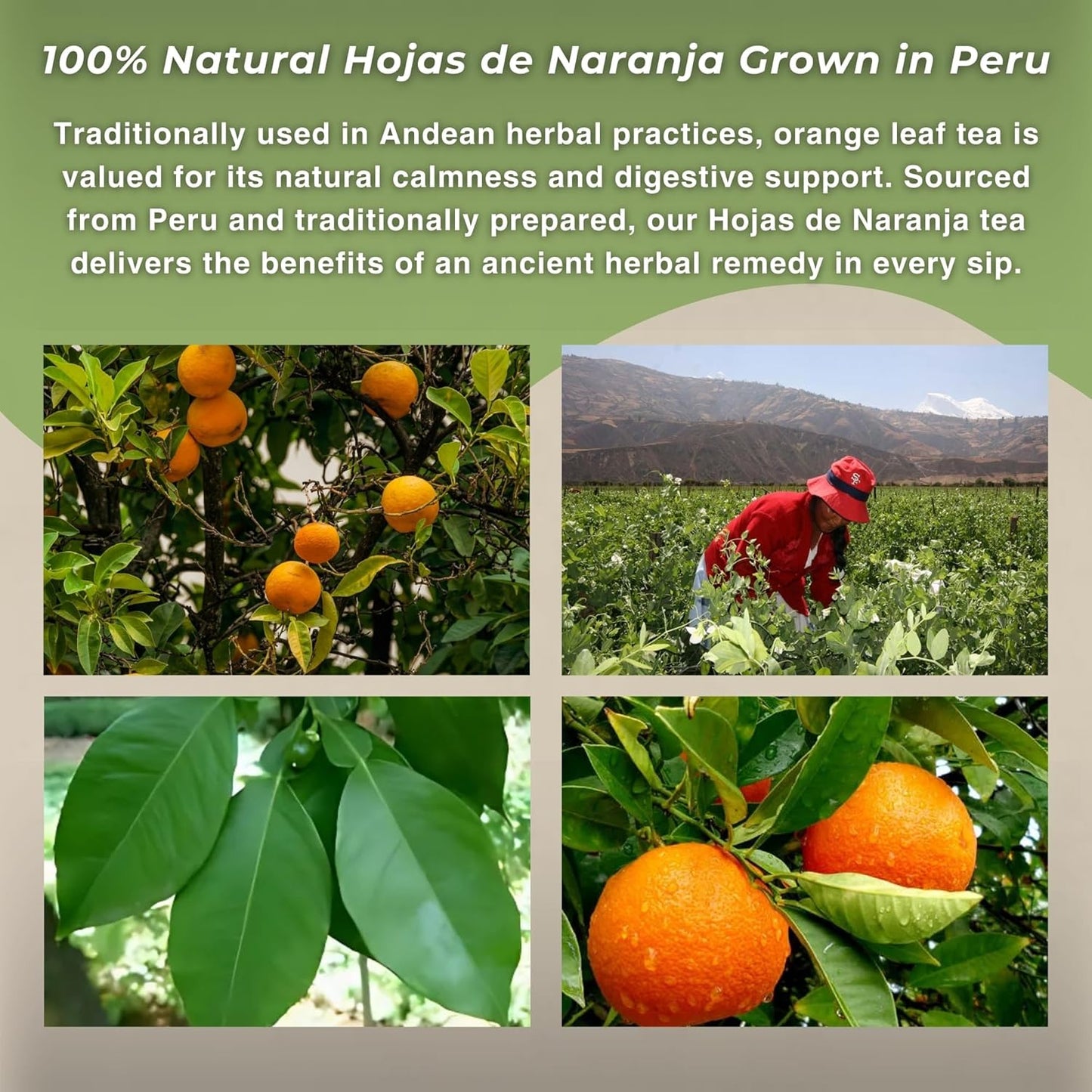 Te de Naranja - Orange Leaves