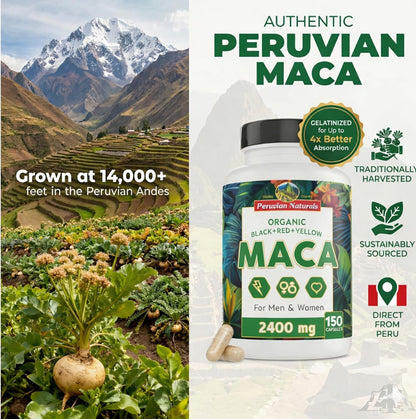 Maca
