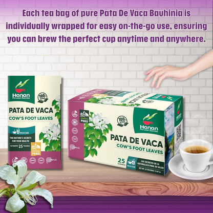 Pata de Vaca (Cow’s Foot Leaf)