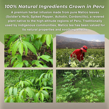Te de Matico (Soldier's Herb)