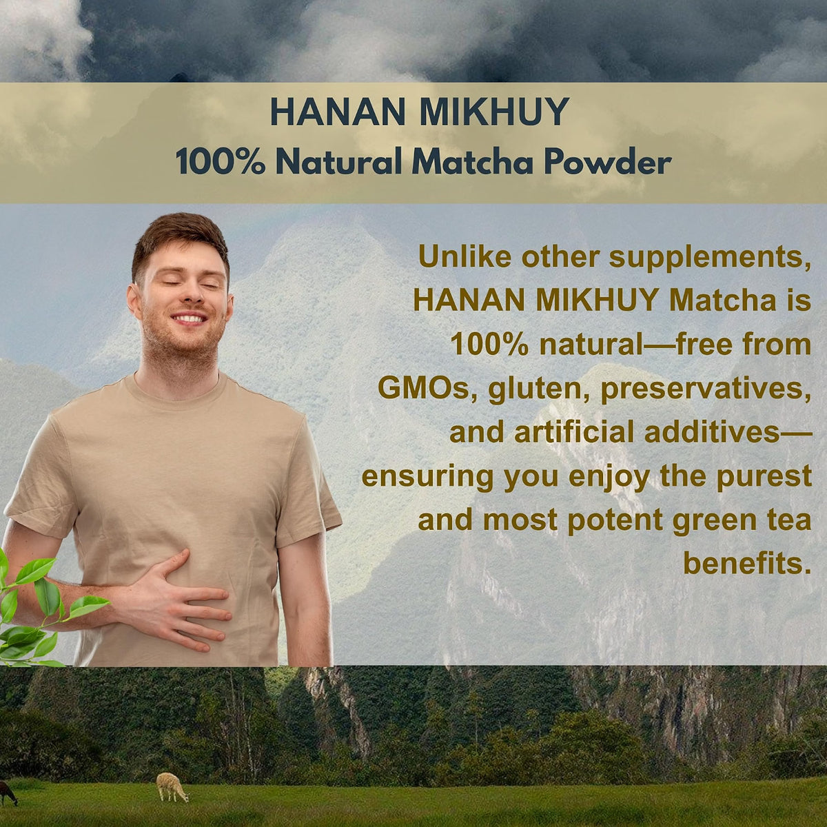 Matcha Green Tea Powder