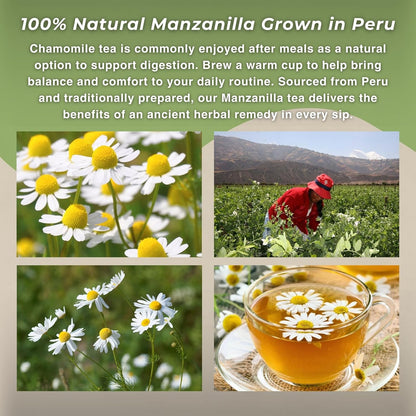 Chamomile Tea (Te de Manzanilla)