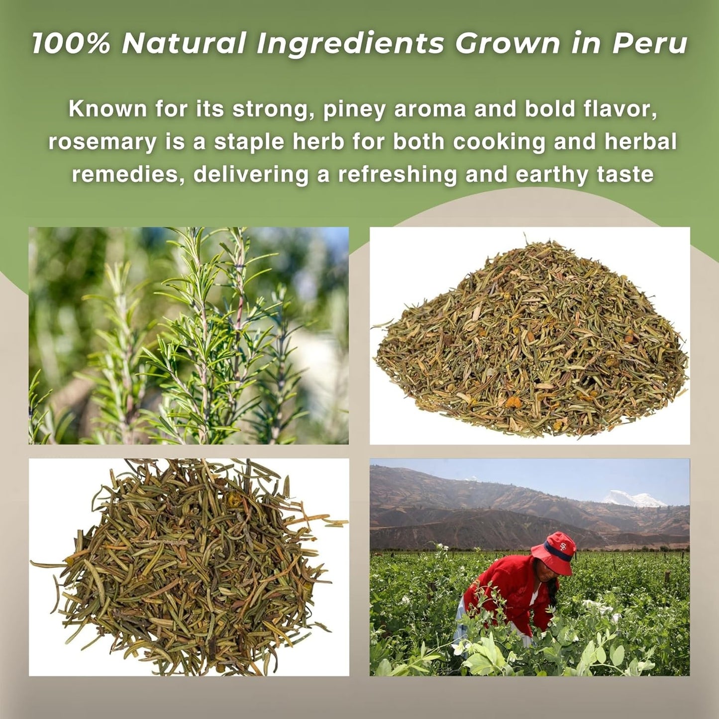 Rosemary Loose Leaf - Romero Te