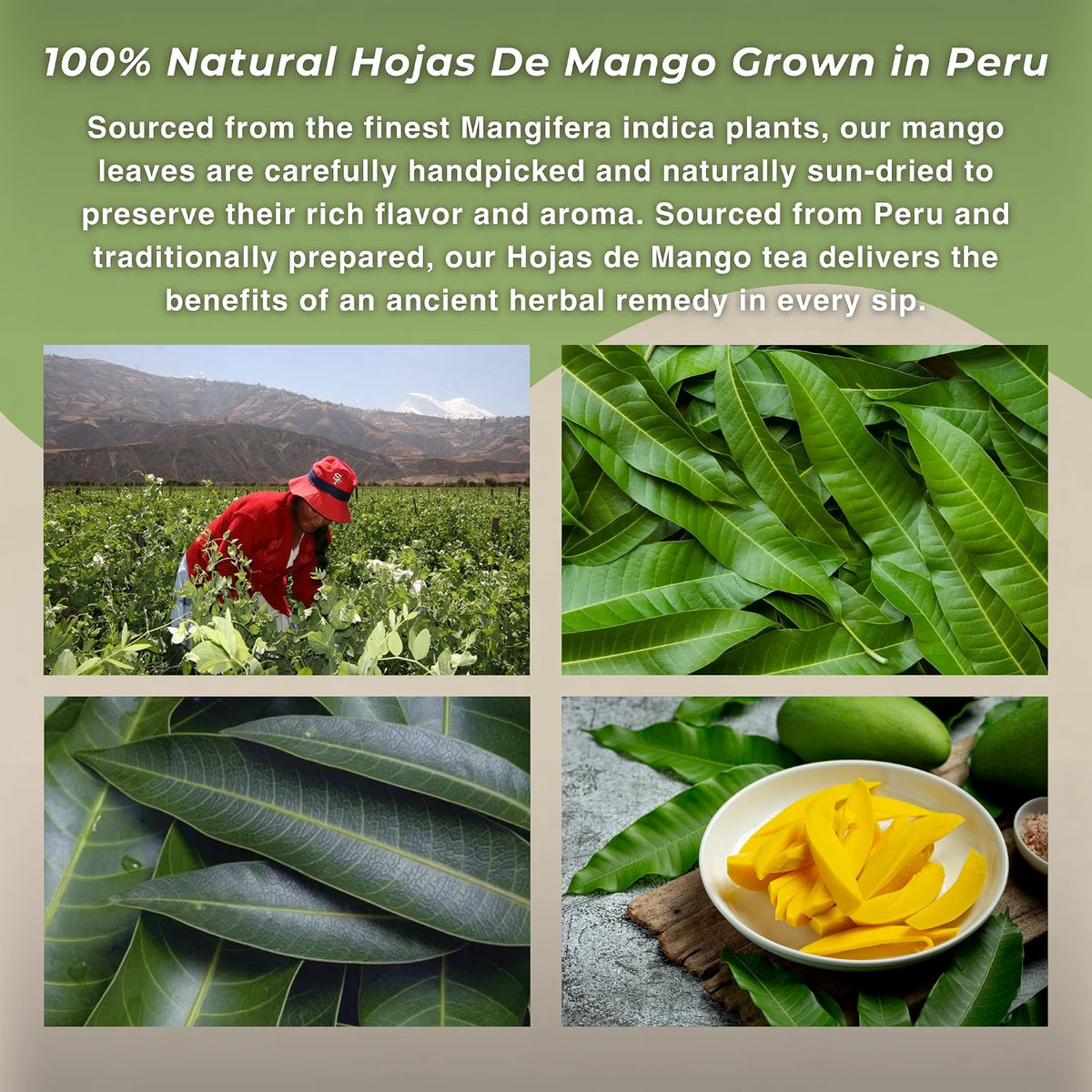 Te de Mango