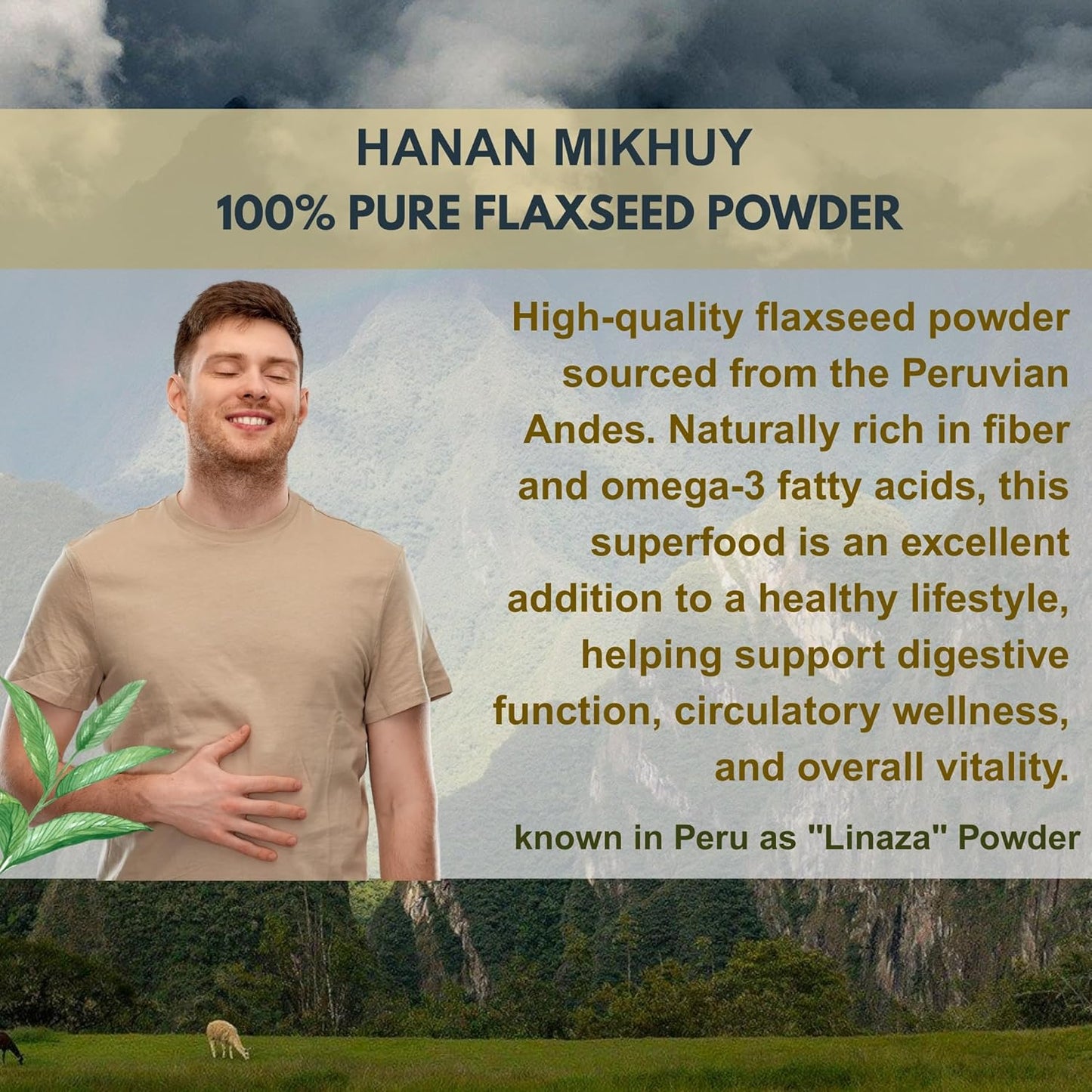 Linaza Powder