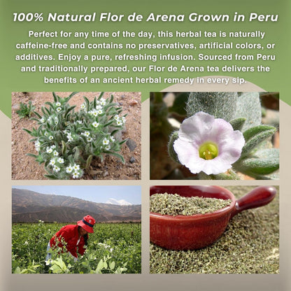Flor de Arena Te (Tiquilia-Indian) - Sandy Flower Tea