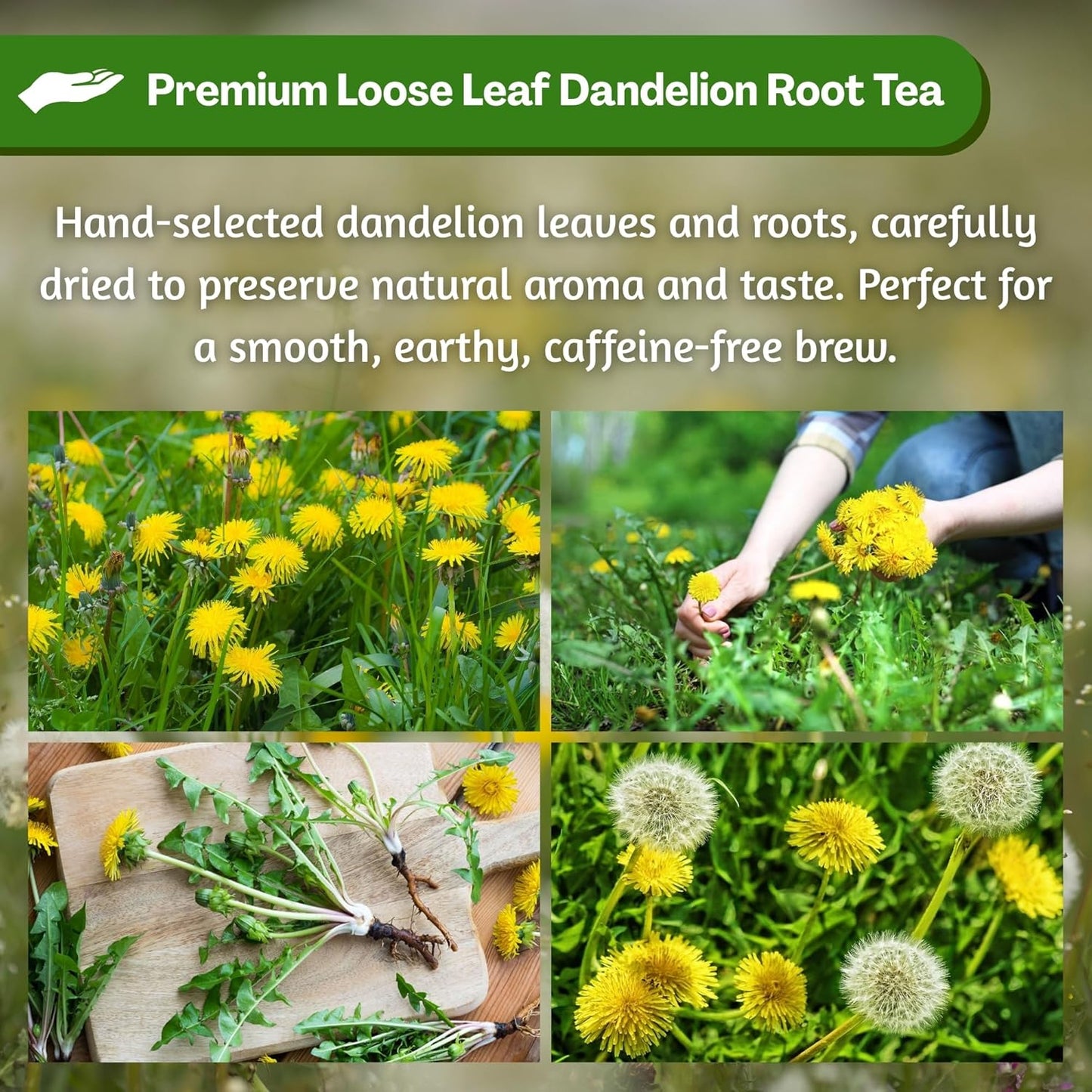 Dandelion Root Tea Loose Leaf