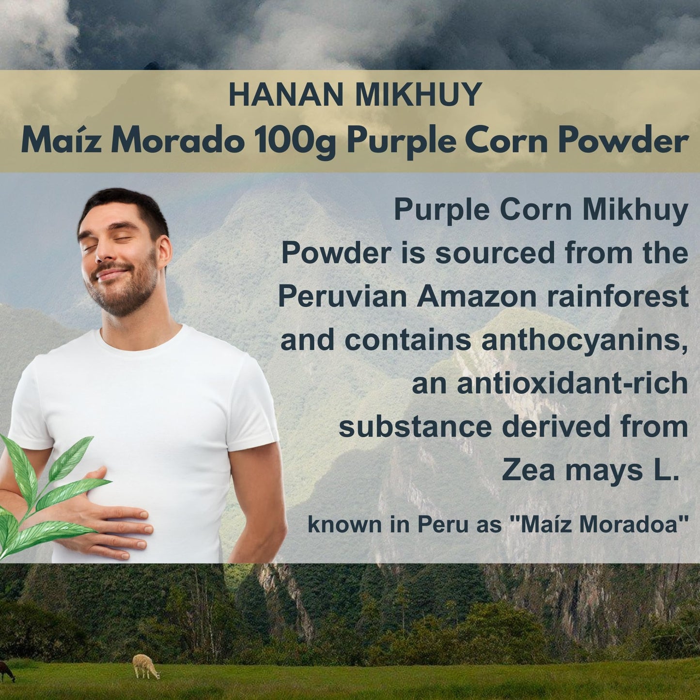 Purple Corn Powder (Maíz Morado)