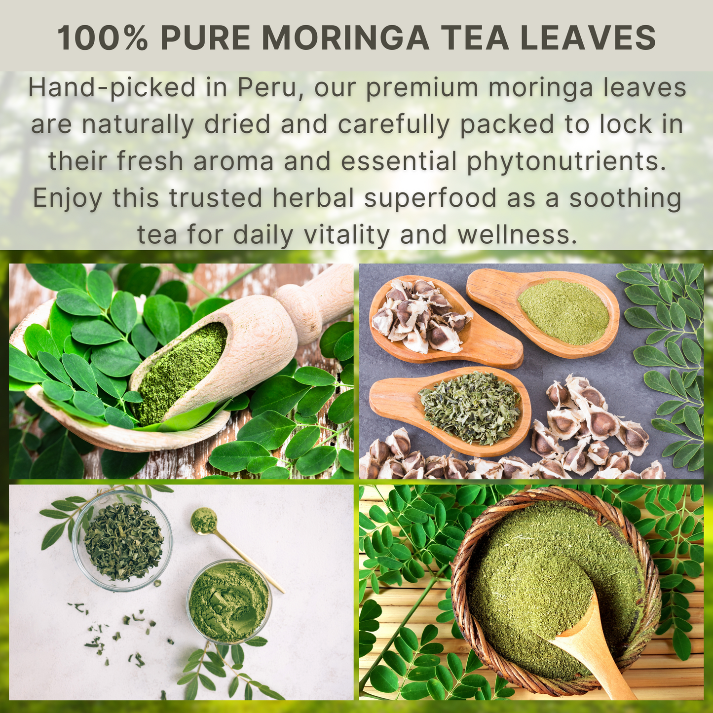 Hanan Moringa Tea Bags — Energy & Immunity Superfood | 25 Caffeine-Free Tea Bags