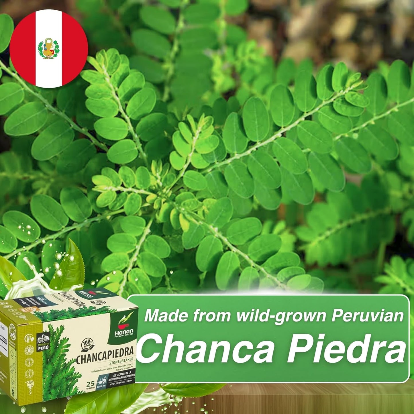 Chanca Piedra Tea (Stone Breaker) — Herbal Tea from Peru