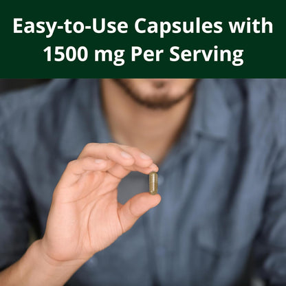 Graviola (Soursop) Capsules — Herbal Wellness Supplement