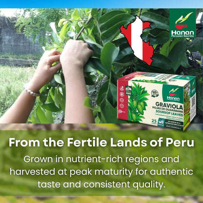 Graviola (Soursop) Herbal Tea — Hand-Selected Leaves | 25 Tea Bags from Peru