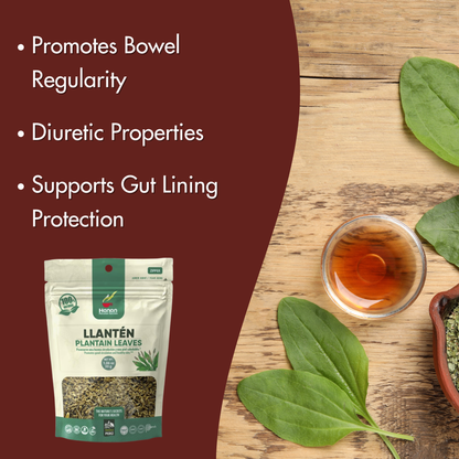 Plantain Leaf Tea (Llanten)