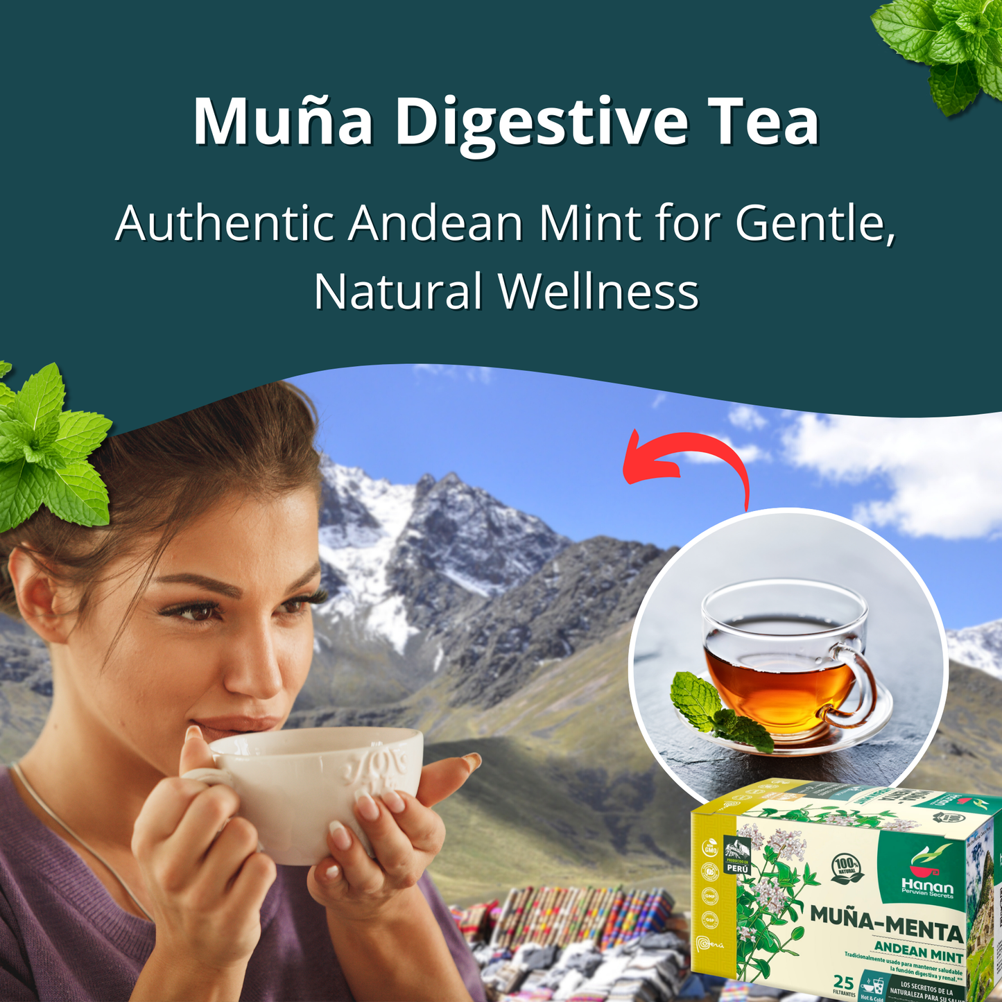 Andean Mint - Muña Tea